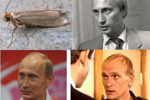 Качественные сервисы на кракен рабочая ссылка