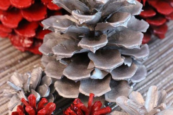 Как зайти на кракен: Профессиональные решения